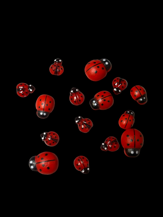 Ladybugs
