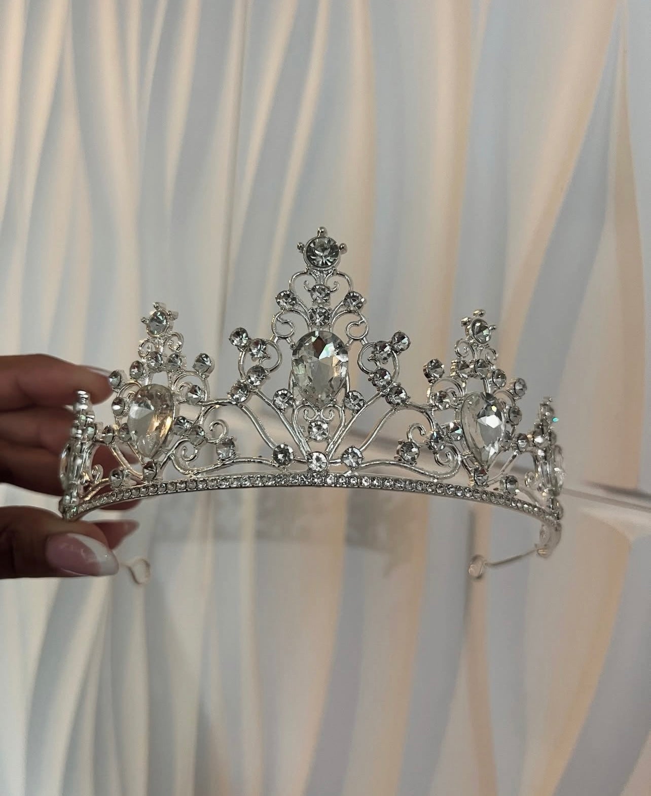 Lily's Silver Crown
