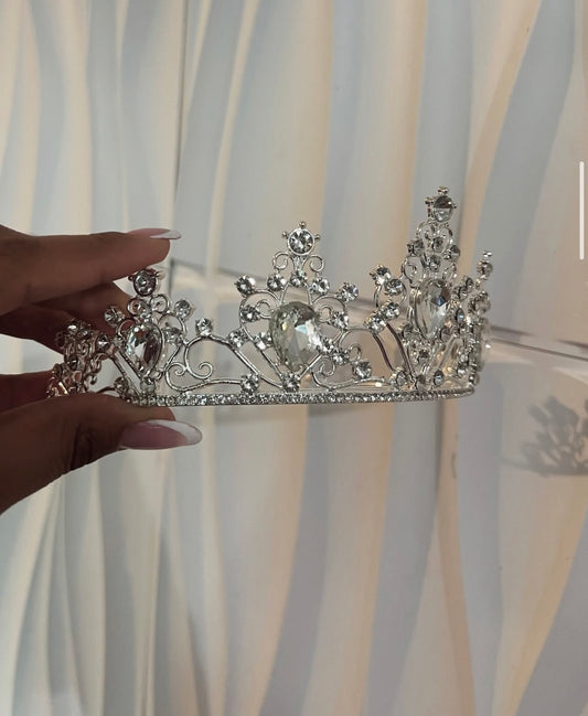 Lily's Silver Crown