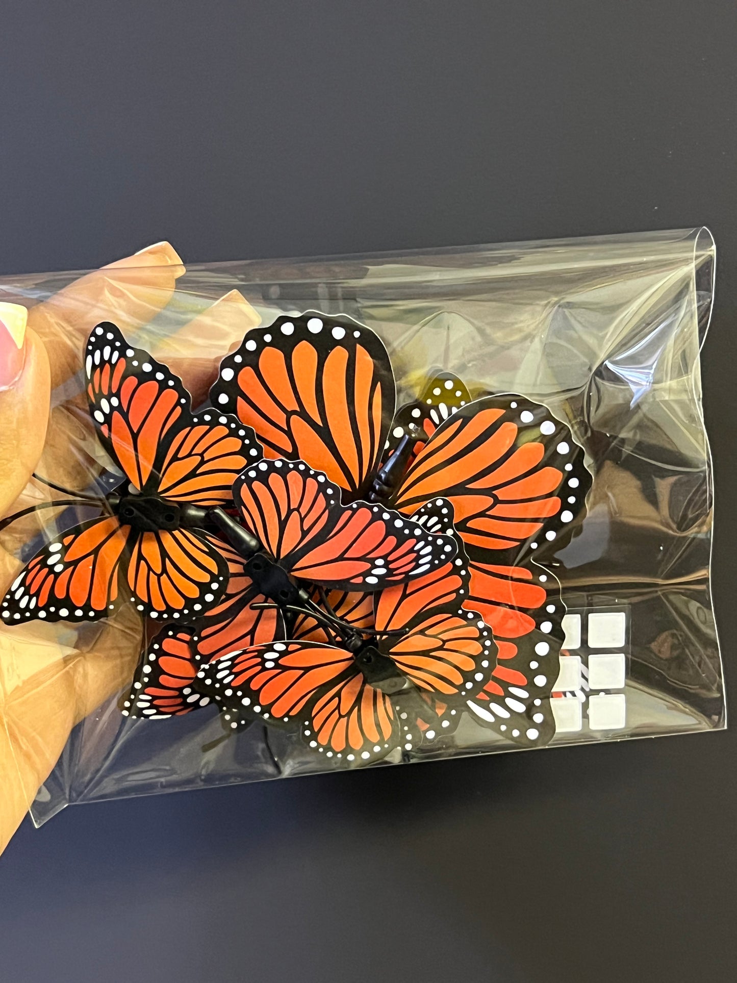 Monarch butterflies